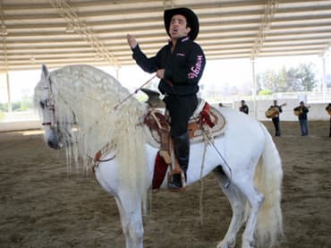 Vicente Fernández JR