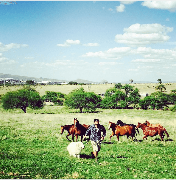 Alejandro Fernández