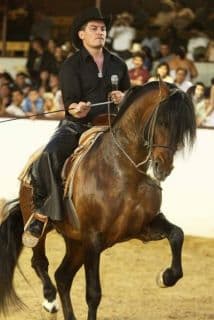 José Manuel Figueroa