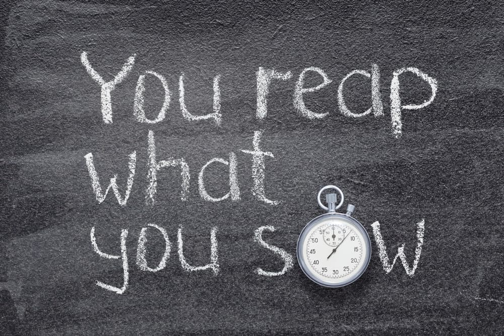 <b>ESCORPIÓN EN EL MES DE PISCIS 2021</b>
<br>Se crea un libro abierto en tu vida, en estas semanas previas al equinoccio vivirás en las nubes, pero no en un sentido negativo, sino recogiendo lo que sembraste. Con la influencia directa de Mercurio y la Luna en sus dos fases importantes, decidirás qué harás con algo que hasta ahora te daban dolores de cabeza.