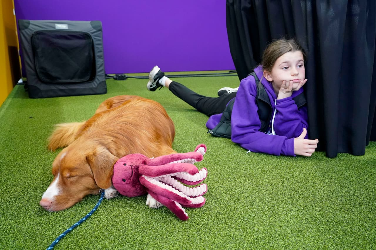 La niña Chloe Jones, proveniente de Canadá, se echa en el suelo junto a su mascota Luca, quien duerme espléndidamente junto a su peluche de pulpo.