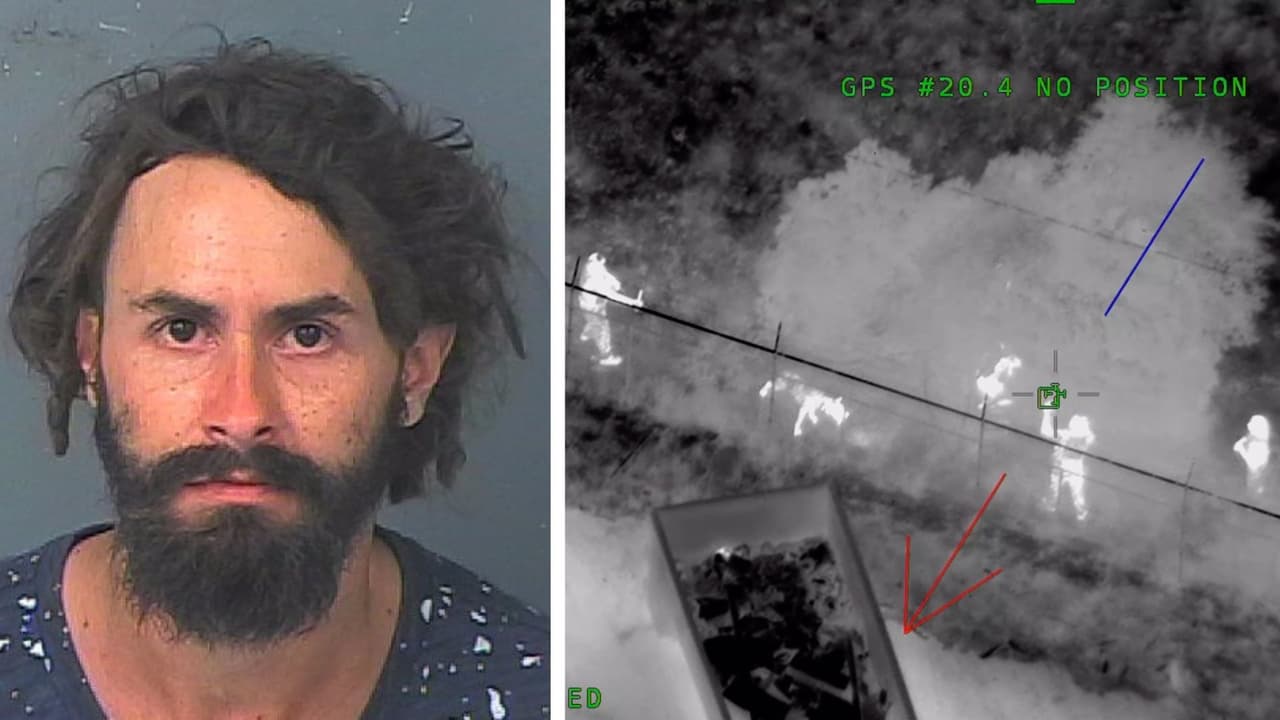 Trepó lo más alto de un árbol para esconderse de la policía, no lo logró