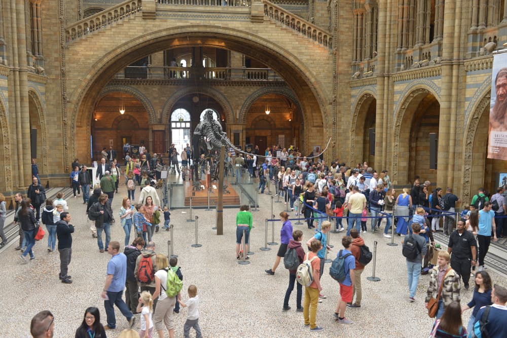 El Museo de Historia Natural de Londres da la bienvenida a los visitantes con un gigante esqueleto de ‘diplodocus’, y es que precisamente los dinosaurios son uno de los temas principales.
