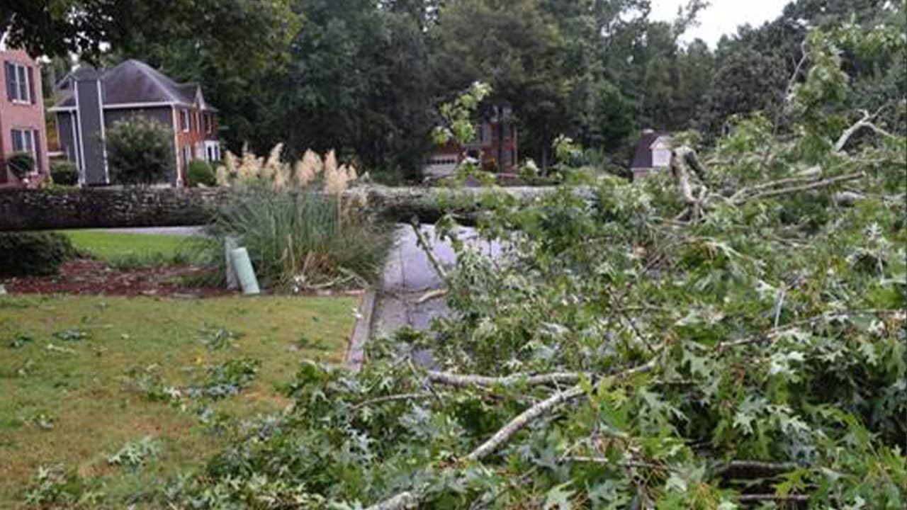 Muere una mujer en Gwinnett al caerle un árbol mientras paseaba con su perro