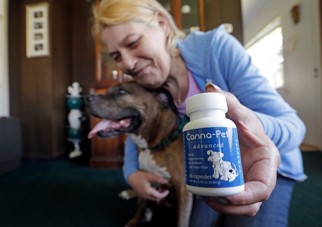 En esta foto de abril de 2018, Karen Rhodes posa para una foto con su perro ya mayor, llamado Ransom. Mientras, ella muestra el suplemento con CBD que le da en su casa de Seattle. Se los da para disminuir el dolor que le proporcionan sus problemas de cadera.