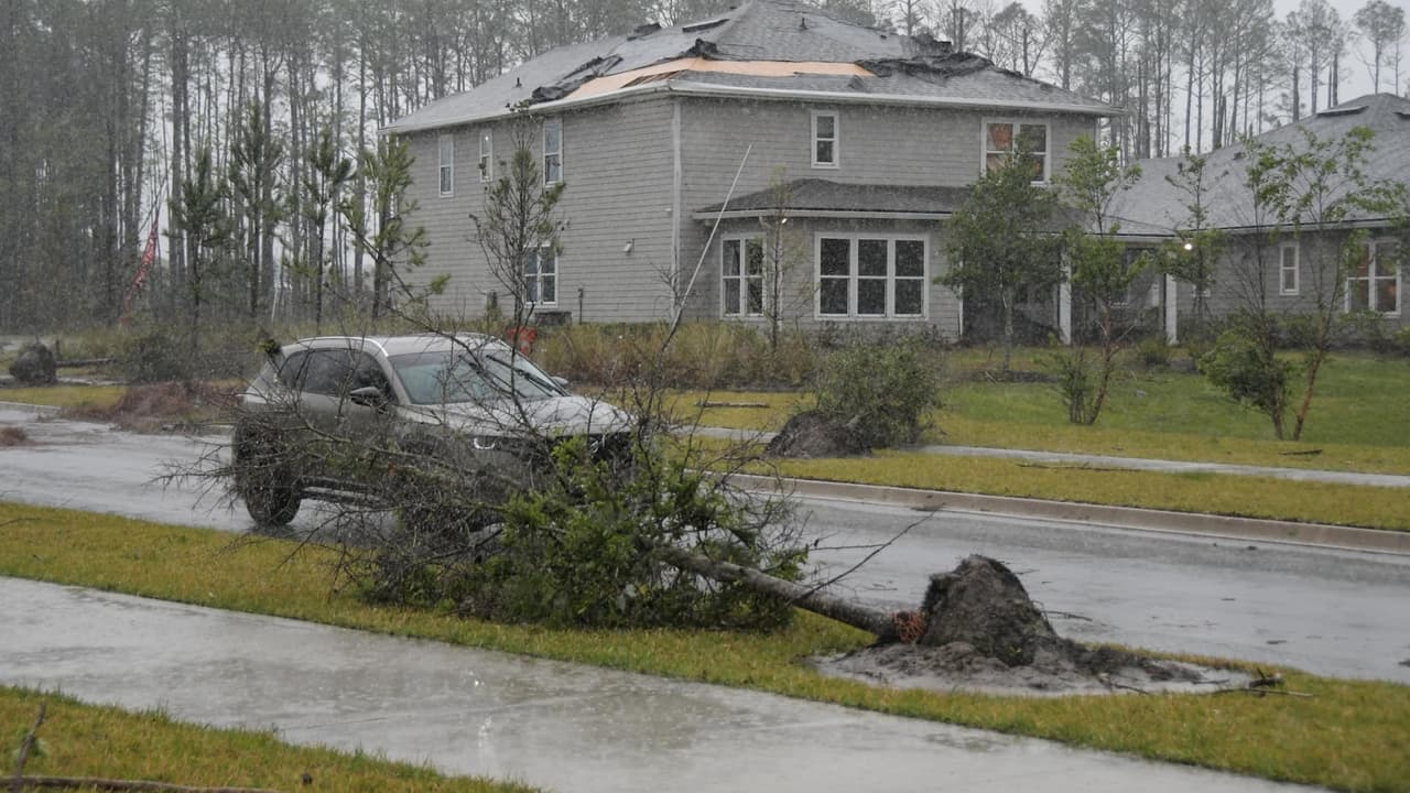 En el condado de León, autoridades instaban a evitar las carreteras, debido a que
<b>funcionarios de emergencia trabajaban para despejarlas de agua y árboles caídos</b>.