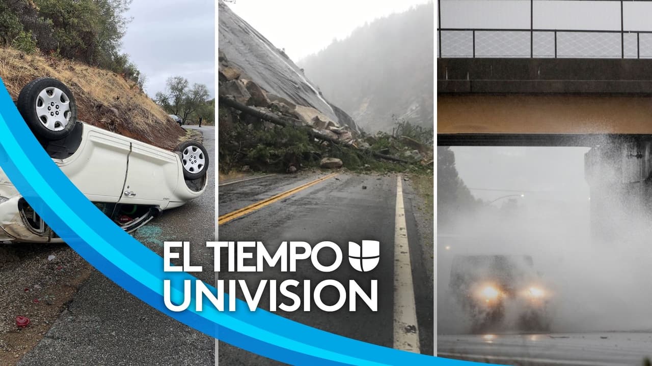 Lluvias históricas han dejado inundaciones y caída de árboles en el Área de la Bahía