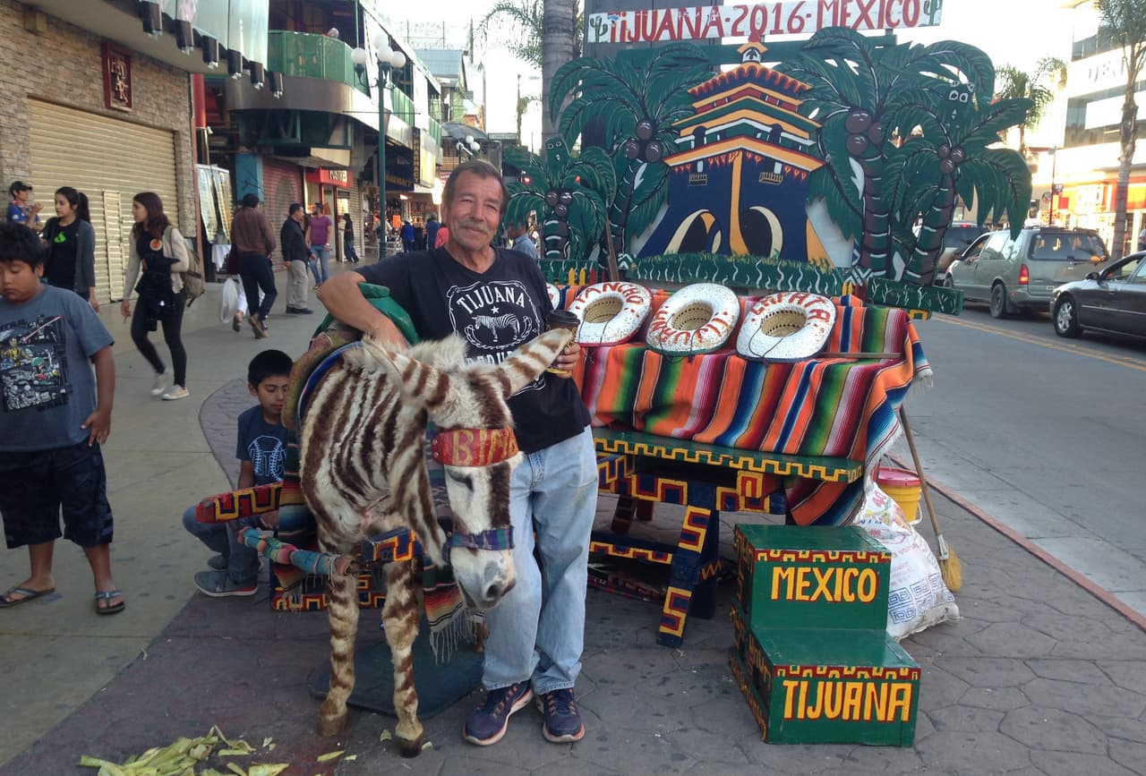 Tony lleva casi una década trabajando con el burro Bimbo.