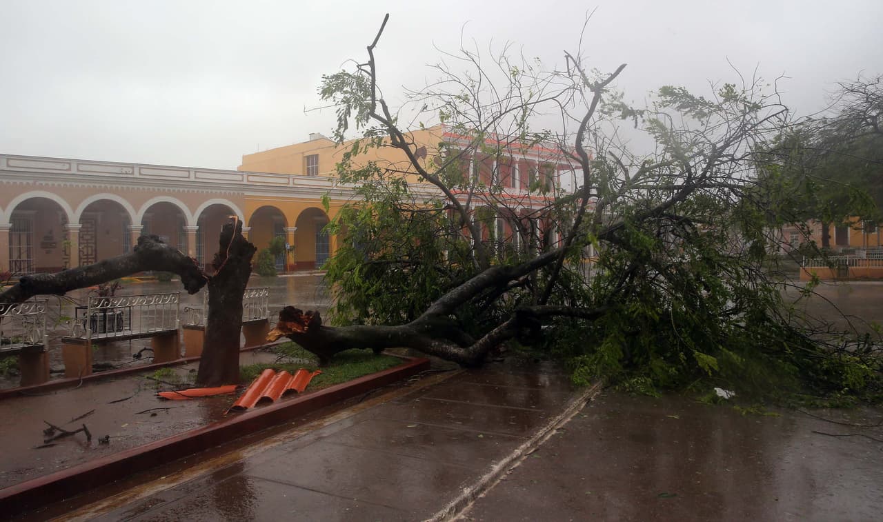 Fallen trees in the streets of the town of Remedios, in central Cuba, during the passage of Hurricane Irma.