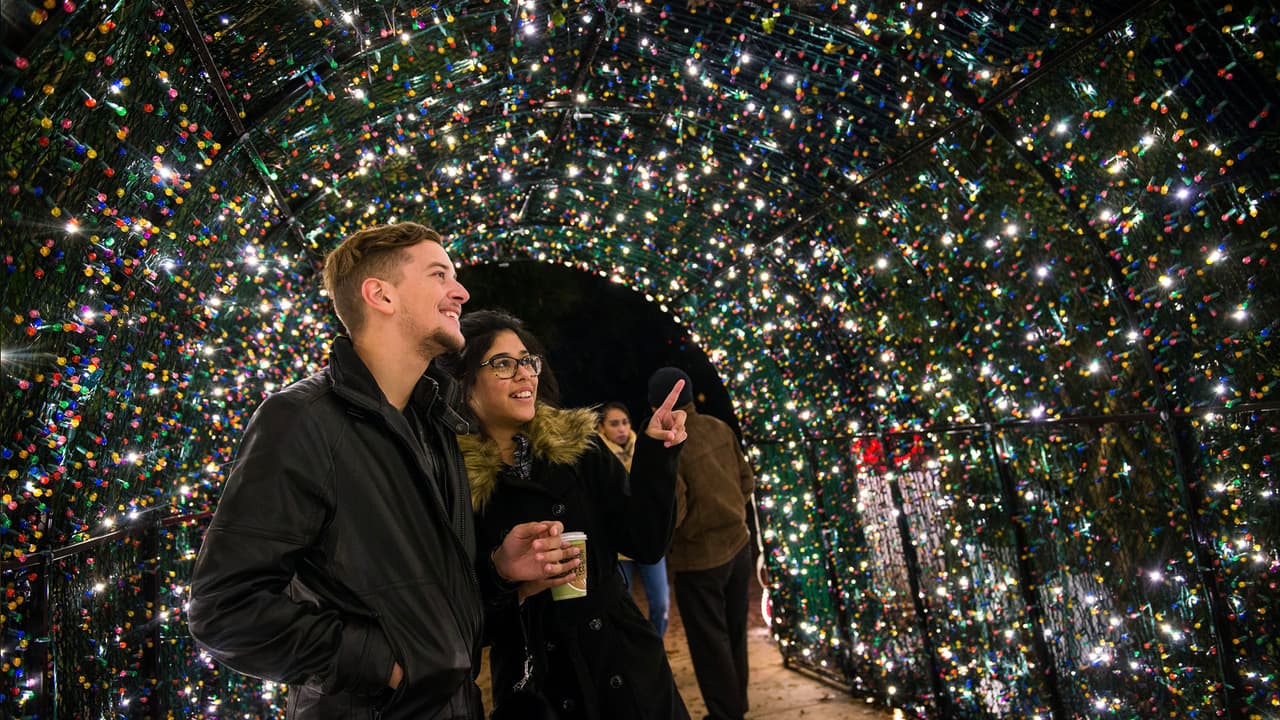"Túnel de luz infinita" mide 100 pies de largo.