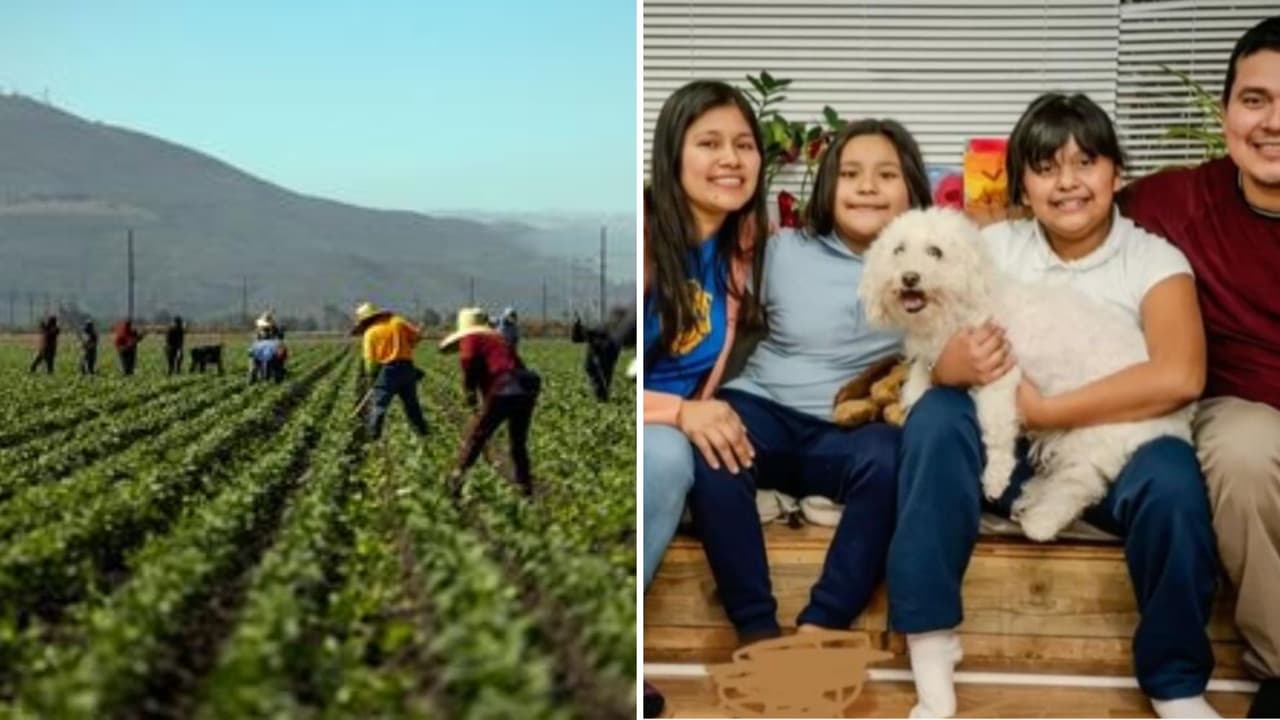 La semana en video: Nacieron en EEUU, pero la familia se 'autodeportó', y simplifican trámite para visas agrícolas temporales