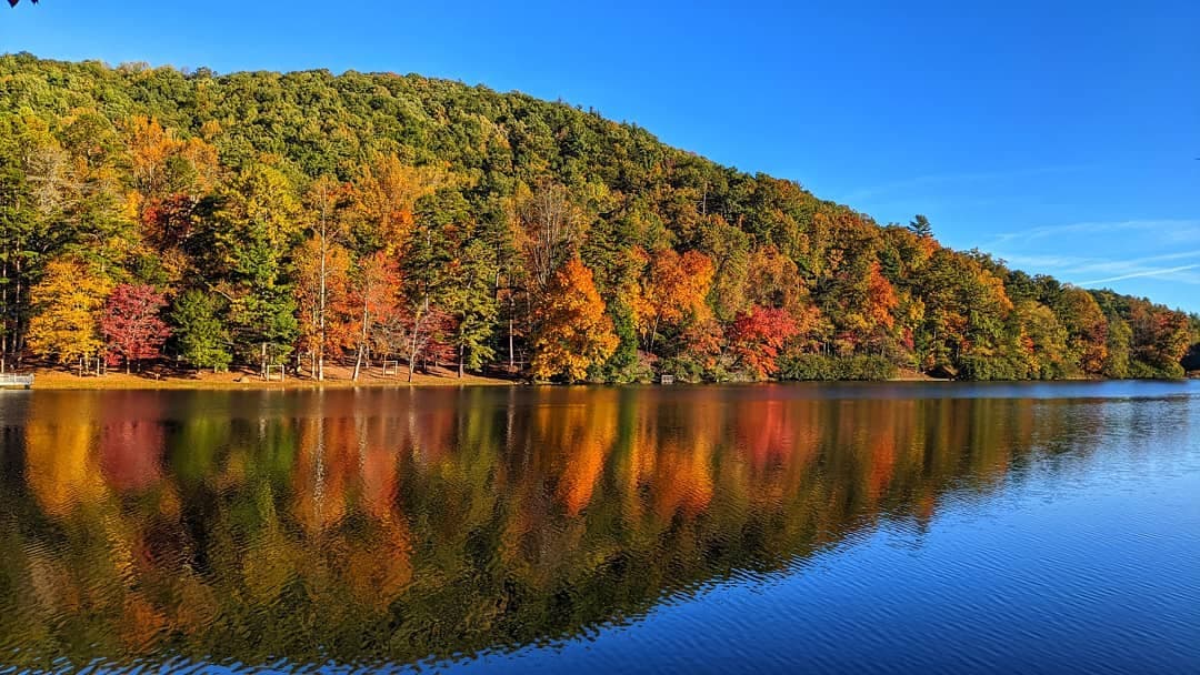 <b>Vogel State Park</b>. El sendero Bear Hair Gap Trail, de 4 millas, es una agradable excursión de un día para excursionistas experimentados, que ofrece una vista panorámica del lago del parque, que está en el 
<b><a href="https://gastateparks.org/Vogel" target="_blank">405 de Vogel State Park Road, en Blairsville</a></b>.
