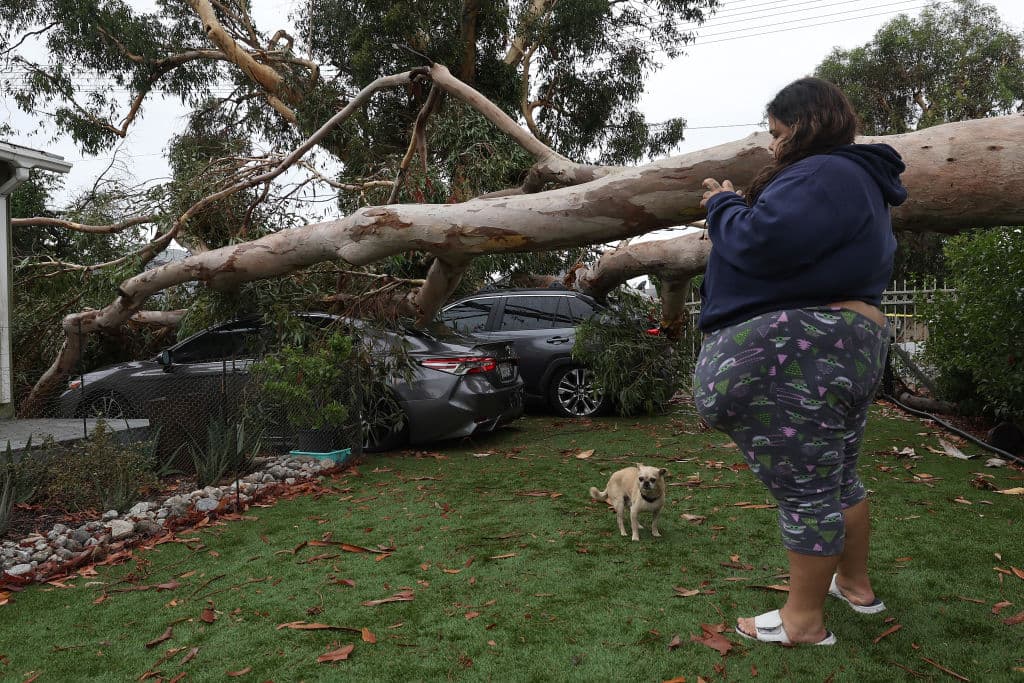 Hace como una semana o dos, dijo a reporteros Cesia Acevedo (en la foto), llamaron a la ciudad pidiendo que revisaran si las raíces del árbol estaban fuertes, "porque parecía que se podía caer".