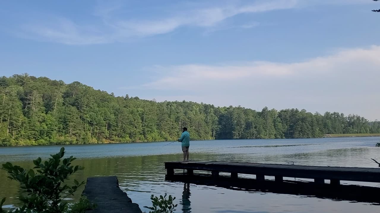 En el parque, los visitantes descubren una variedad de aventuras al aire libre y oportunidades de relajación que incluyen tiro con arco y tiro al blanco, pesca con mosca, remo, alquiler de botes, tirolesa, ciclismo de montaña y más.