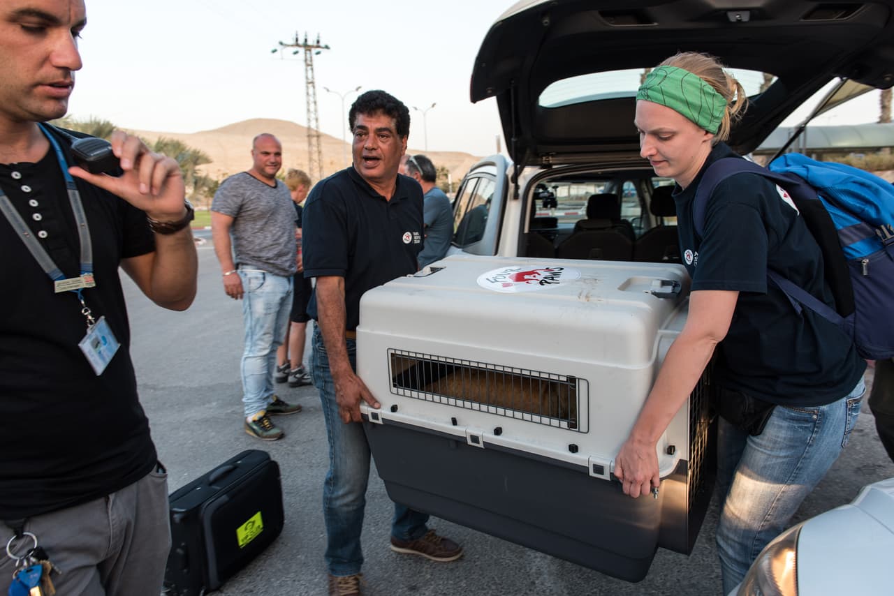 Max y Mona no querían ser separados uno del otro.