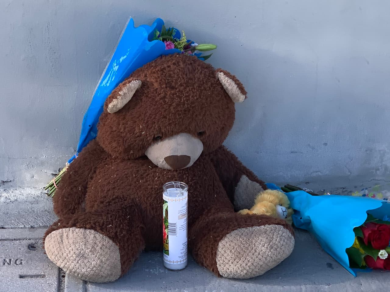 “Esta es una madre soltera con dos niños que está deshecha”, dijo Carol Ybañez, tía de Aiden.