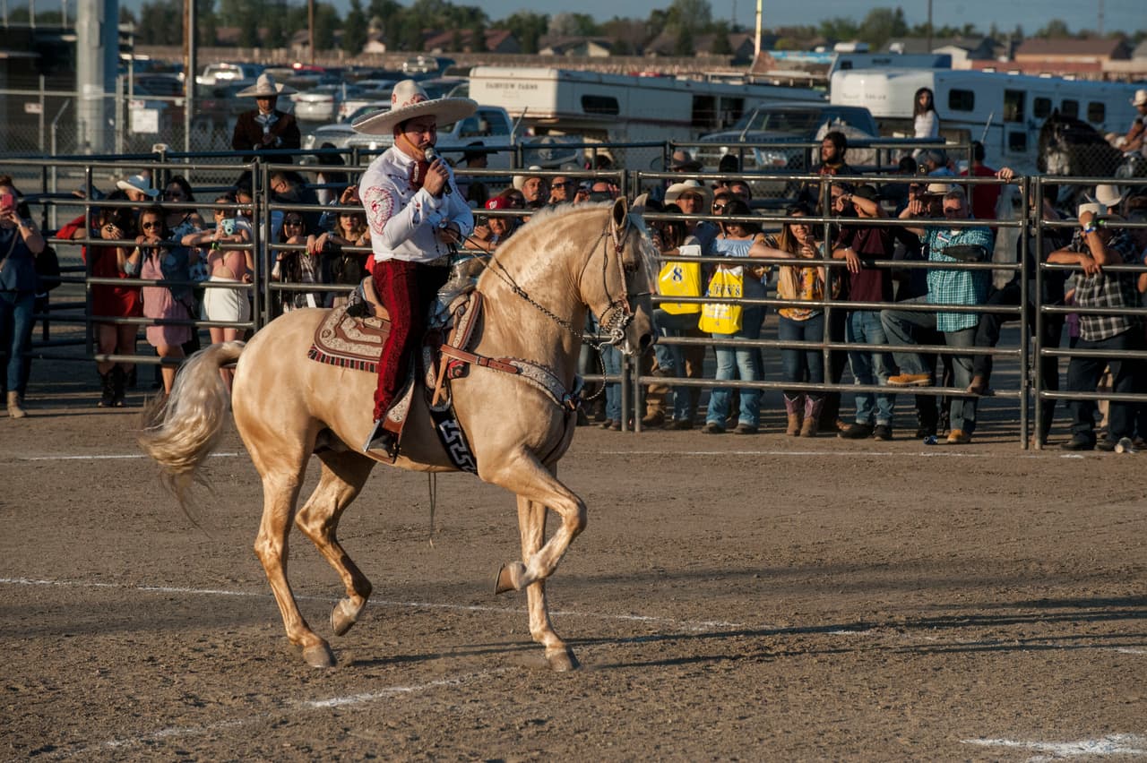 7 escenarios y mas de 50 artistas en 3 dias fueron los ingredientes para PuebloFest el 17 al 19 de marzo donde llegaron personas para disfrutar de todo el estado de California.