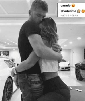 Desde ese momento la pareja se dedicaba tiernos mensajes en redes sociales y hasta compartían fotos románticas con sus seguidores. De hecho, durante la alfombra azul de los 
<b>Premios Juventud</b> de 2017, Shannon prometió a Raúl de Molina cuidar al pugilista mexicano y no distraerlo previo a la pelea en la que el 'Canelo' enfrentaría a Gennady 'GGG' Golovkin.