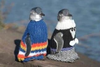 Abrigan a pingüinos conta la contaminación. Foto: Fundación de Phillip Islan
