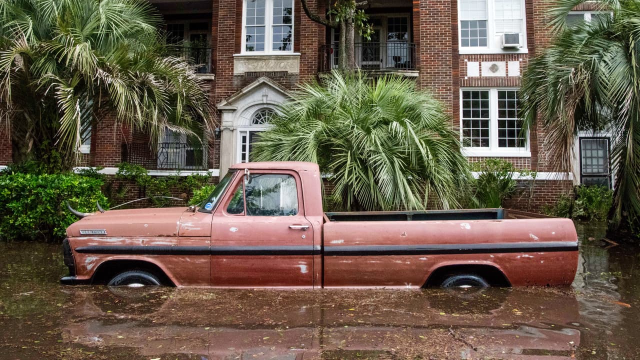 En todo el mundo existen camionetas pickup, pero su uso como vehículo de uso diario es un fenómeno único de Estados Unidos. Aquí te damos las razones por las cuales este tipo de vehículos después de
<b>100 años </b>continúa fascinando al público estadounidense.
<br>
<br>
<b>En la imagen</b>: Esta
<b>Ford F-100 de 1967</b> vivió los rigores del paso del huracán Irma por la ciudad de Jacksonville, Florida en septiembre de 2017, el año en que cumplió su primer medio siglo.