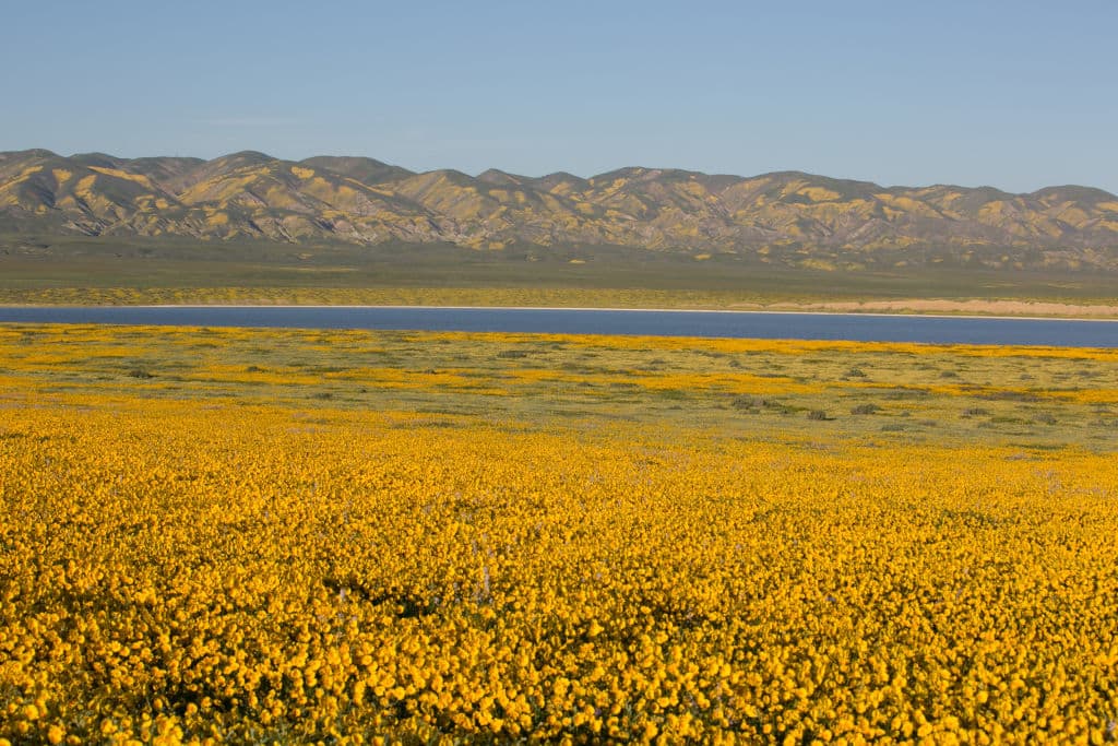 Si bien no se necesita un vehículo especial para el paseo, los visitantes deben prestar atención a los letreros que indican las condiciones de la carretera y traer palas, tablas, correas de remolque y otros equipos si pretenden conducir rutas consideradas intransitables.