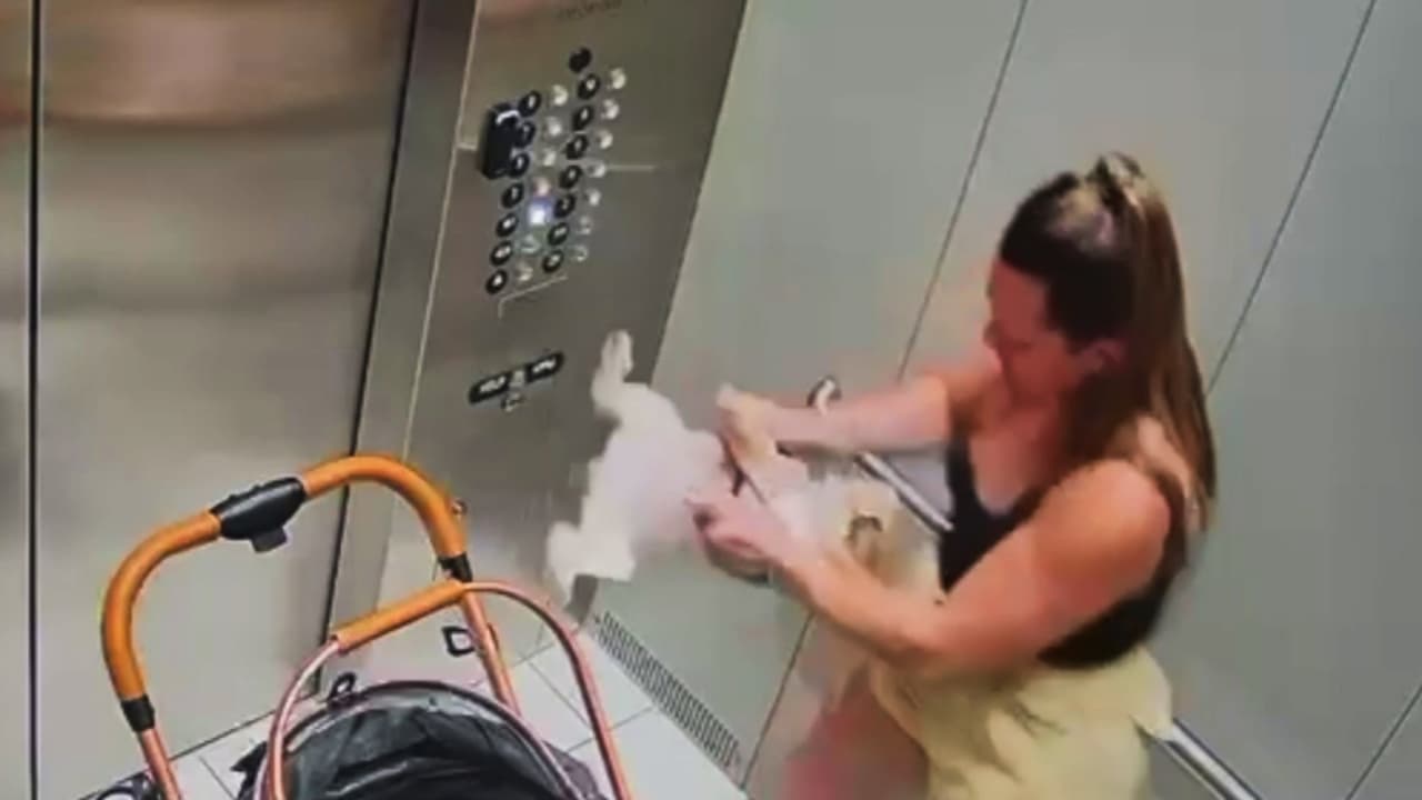 Mujer es captada en video golpeando varias veces a un perro en un complejo de apartamentos de Hialeah