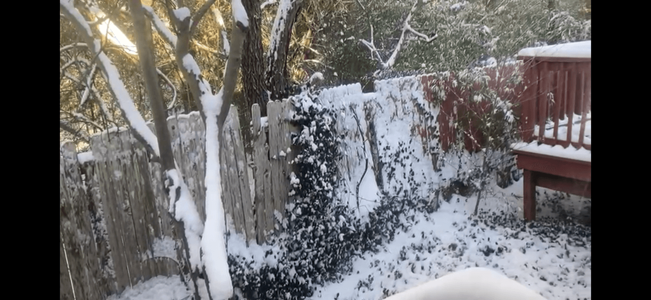 La
<b>masa de aire frío de Ártico </b>que ha producido temperaturas récords en todas las ciudades texanas, logrando sobrepasar la marca que registró en el 1989. Las temperaturas de sensación en
<a href="https://www.univision.com/temas/san-antonio">San Antonio</a> ha llegado hasta negativo 2.