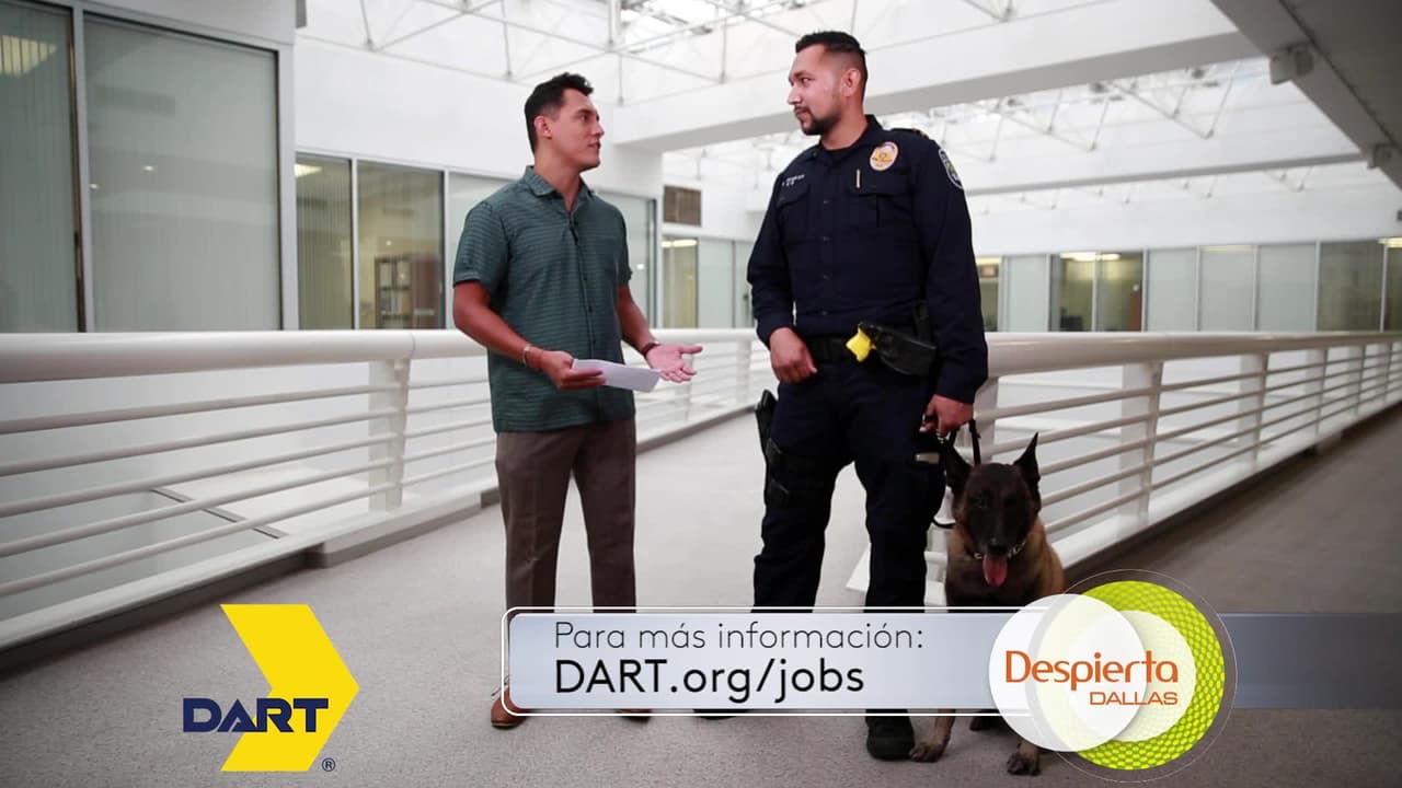 Oportunidades de trabajo en DART, con salarios arrancando en los $70,000 anuales