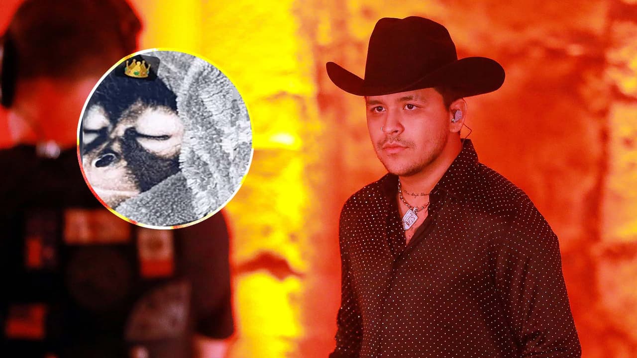 Christian Nodal en problemas con la justicia mexicana por poseer un mono araña bebé como mascota