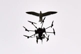 Amazon está desarrollando un modelo de distribución con drones