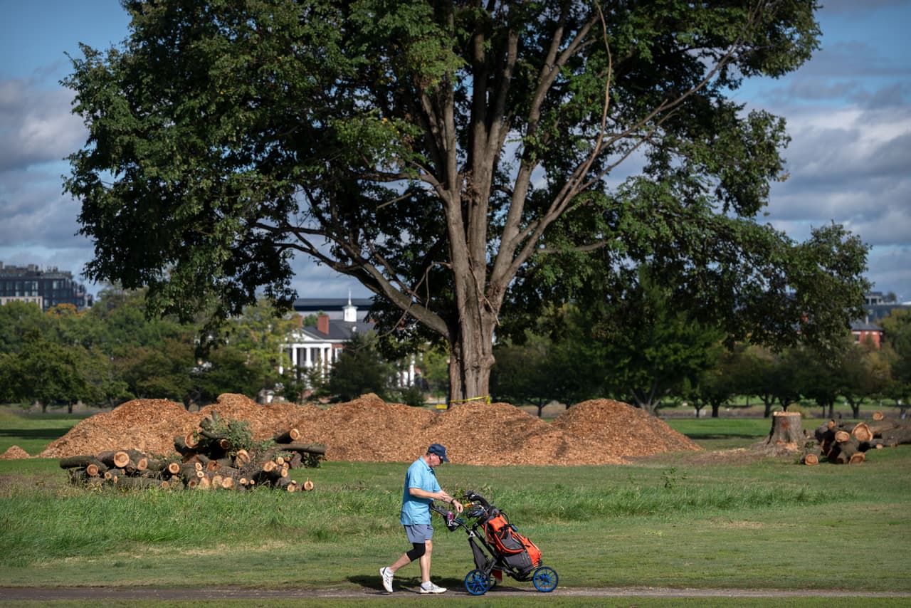 Donald Trump cerrará el histórico campo de golf de Washington D.C. durante 15 meses por las renovaciones