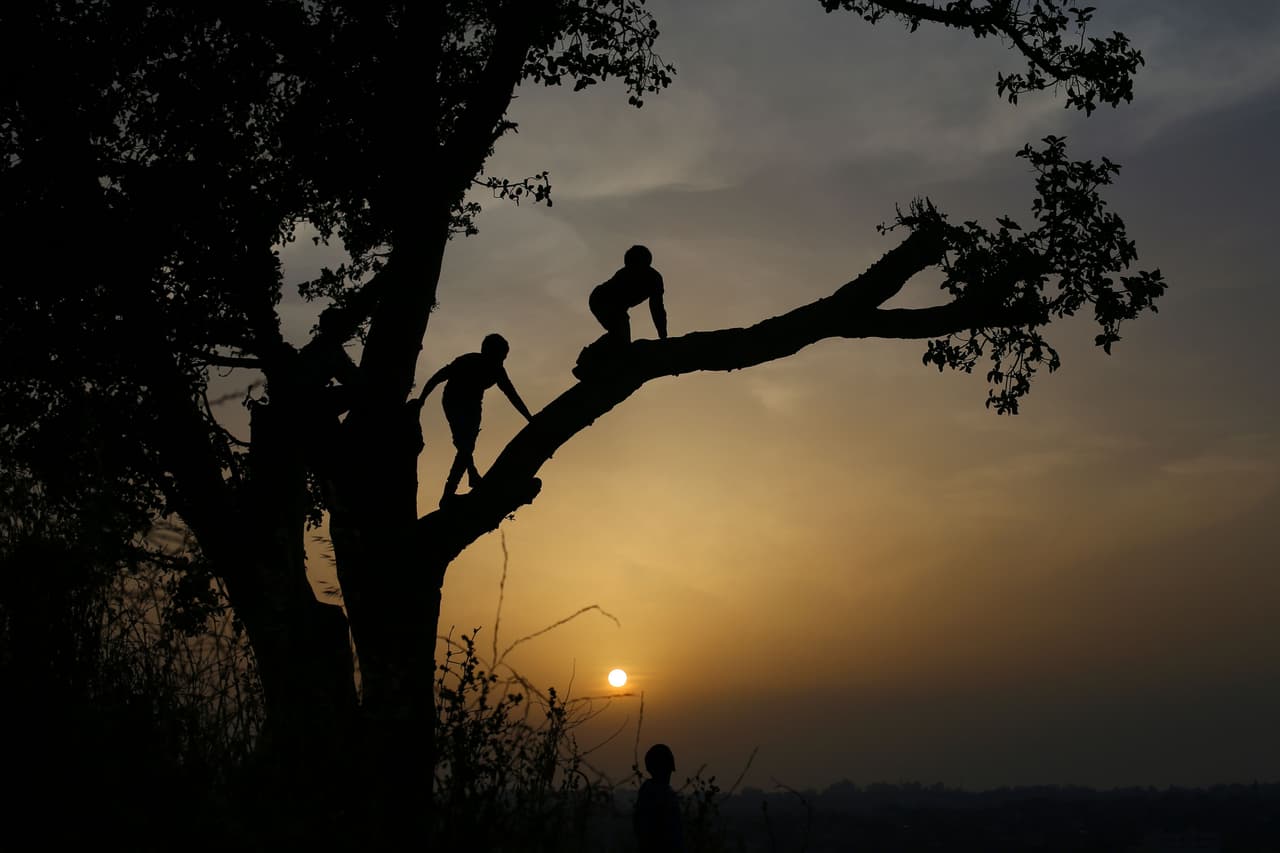 El nuevo deporte para escapar del ruido urbano: trepar árboles