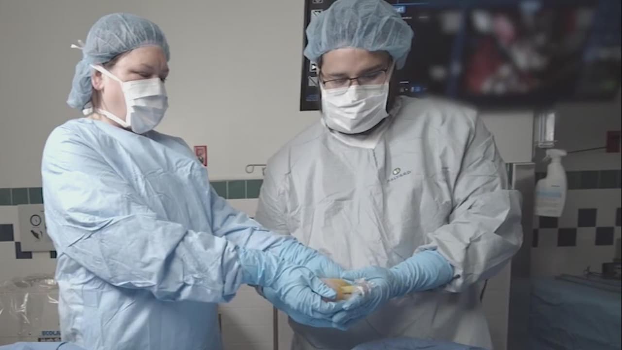 Más de 2,000 niños de Texas están a la lista de espera para trasplante de órganos