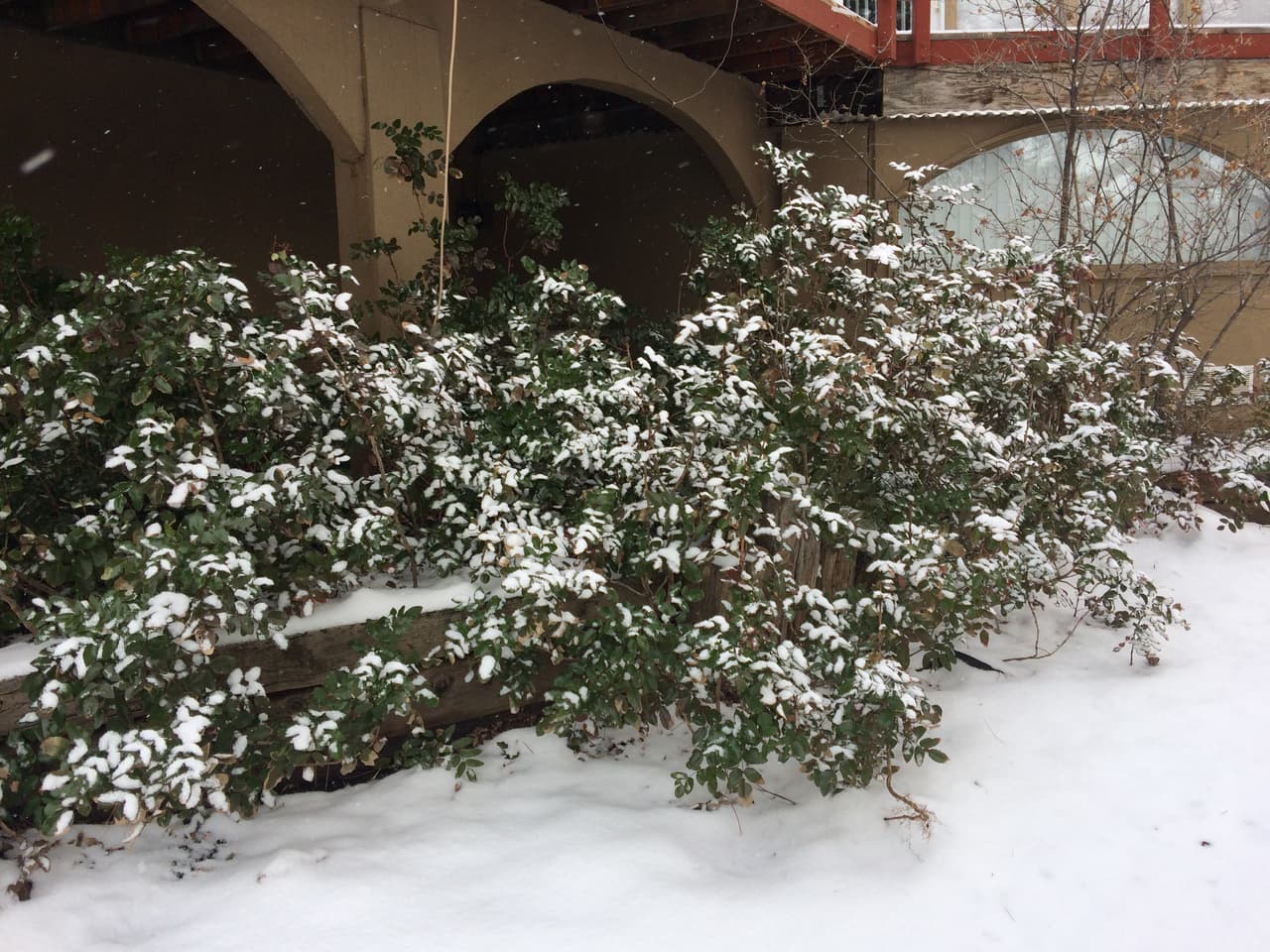 Se pronostica que este martes la temperatura mínima en el norte de Arizona llegue a los 20ºF y la máxima alcance los a los 33ºF. Se prevé más nieve y lluvia para la región en los próximos días. 
<br>