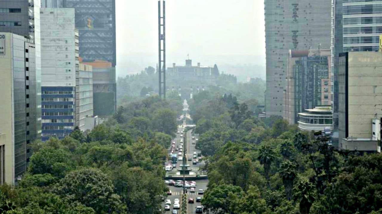 Contingencia ambiental afecta Ligas profesionales en la Ciudad de México
