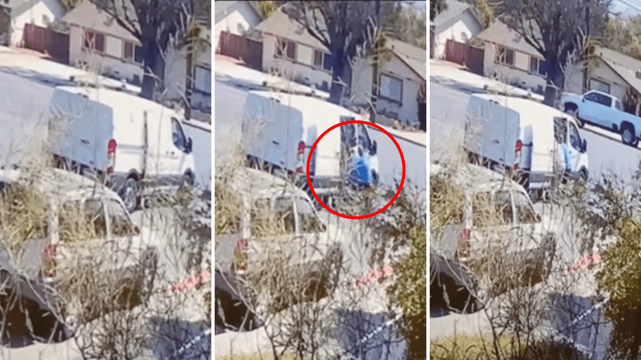 “Te odio”: las últimas palabras que dijo una mujer antes de que la subieran a la fuerza a una van robada