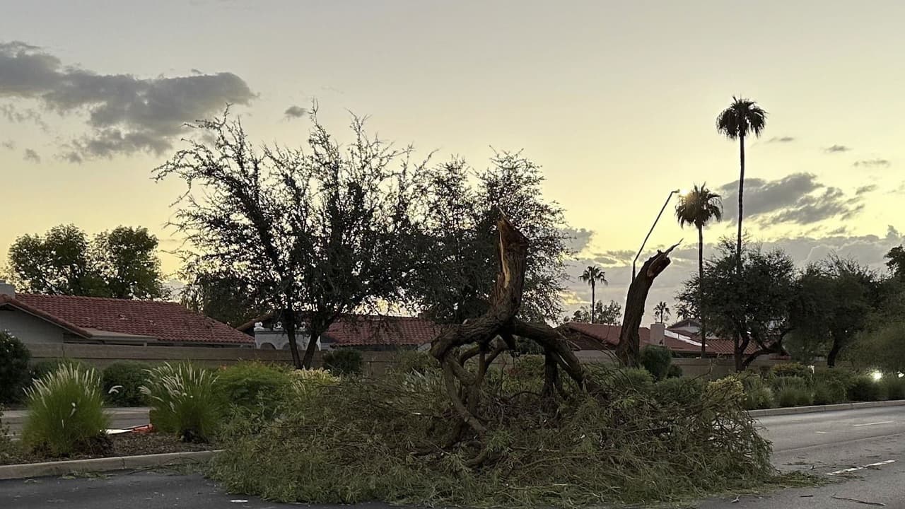 Servicios disponibles para quienes se vieron afectados por el mal tiempo en Tempe