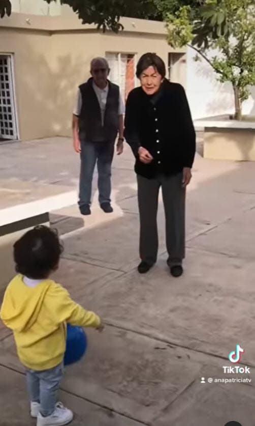 En febrero de 2016, Gámez
<b><a href="https://www.univision.com/shows/despierta-america/daenunminuto-ana-patricia-nos-platico-sobre-sus-abuelitos-y-francisca-cocinara-una-receta-muy-especial-video" target="_blank">presentó a sus abuelos</a> </b>en
<b> Despierta América</b> y ahí reveló que su abuela tenía "demencia senil".
<br>