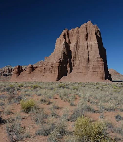 Capitol Reef National Park
<br>En este lugar podrás descubrir los mejores miradores, senderos y caminos para llegar a paisajes increíbles que evocan el verdadero Lejano Oeste. Con carreteras escénicas que fluyen junto a acantilados que toman vida propia con las luces del atardecer y caminos que parecen de otro planeta, como el de Cathedral Valley. El parque está en Moab y hay una distancia desde Salt Lake City de 4 horas.