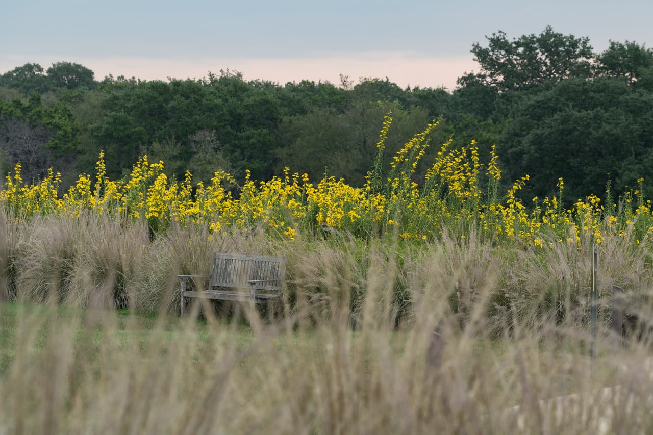 En el centro se pueden encontrar todo tipo de plantas y flores nativas del estado.