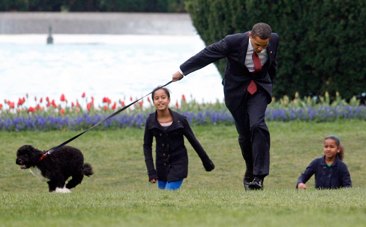Barack Obama y familia tenían dos perros durante su paso por La Casa Blanca: Bo y Sunny, de raza Portuguese Water Dog. Son los dos últimos perros perros presidenciales oficiales ya que Donald Trump decidió no tener mascotas: "No me importaría tener uno, sinceramente, pero no tengo tiempo”
<a href="https://www.independent.co.uk/news/world/americas/us-politics/trump-dog-family-president-pets-schedule-executive-time-a8775581.html" target="_blank">dijo en un mitin político en febrero de 2019</a>. El último presidente sin tener un cachorro fue William McKinley, gobernó entre 1897 y 1901.