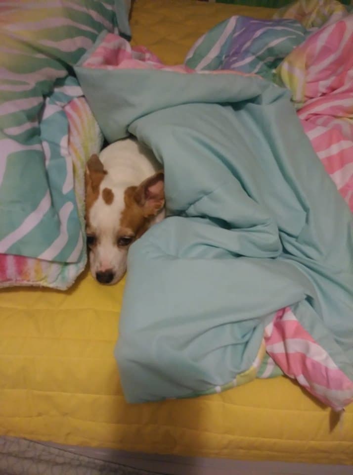 La bebé de Aleen Crespo les desea a todas un feliz Día de la Madre del #hijoperruno