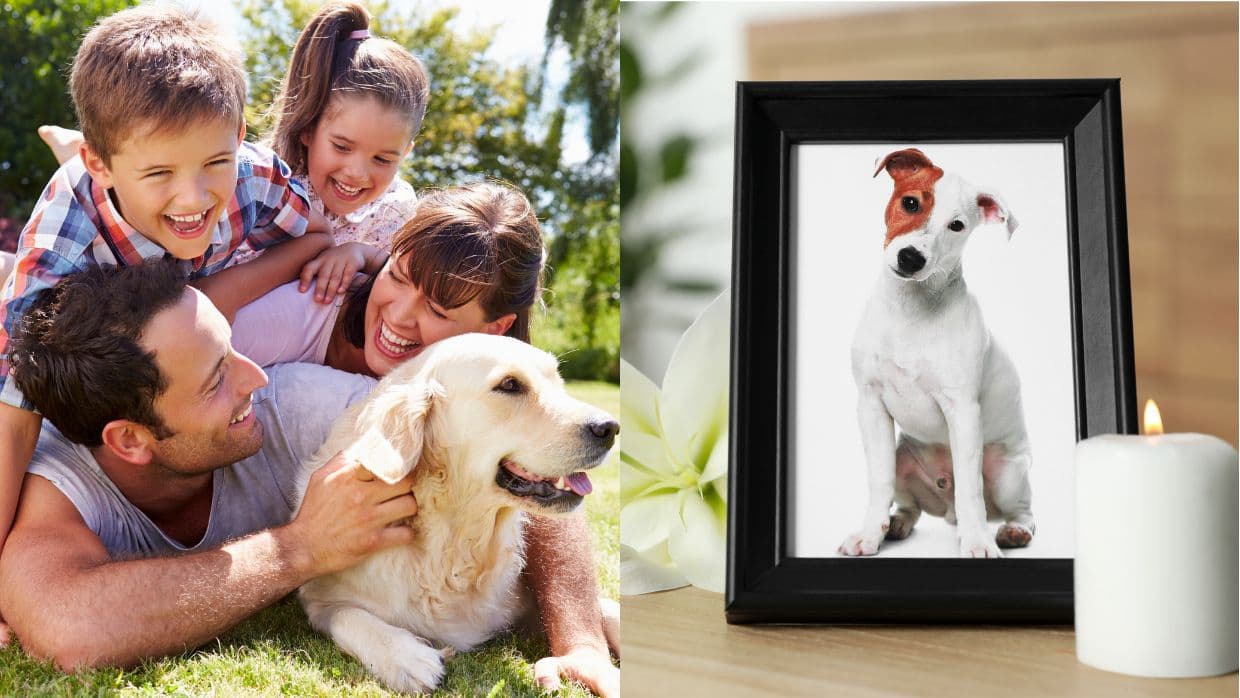 5 consejos para ayudar a nuestros hijos a sobrellevar sanamente la muerte de una mascota