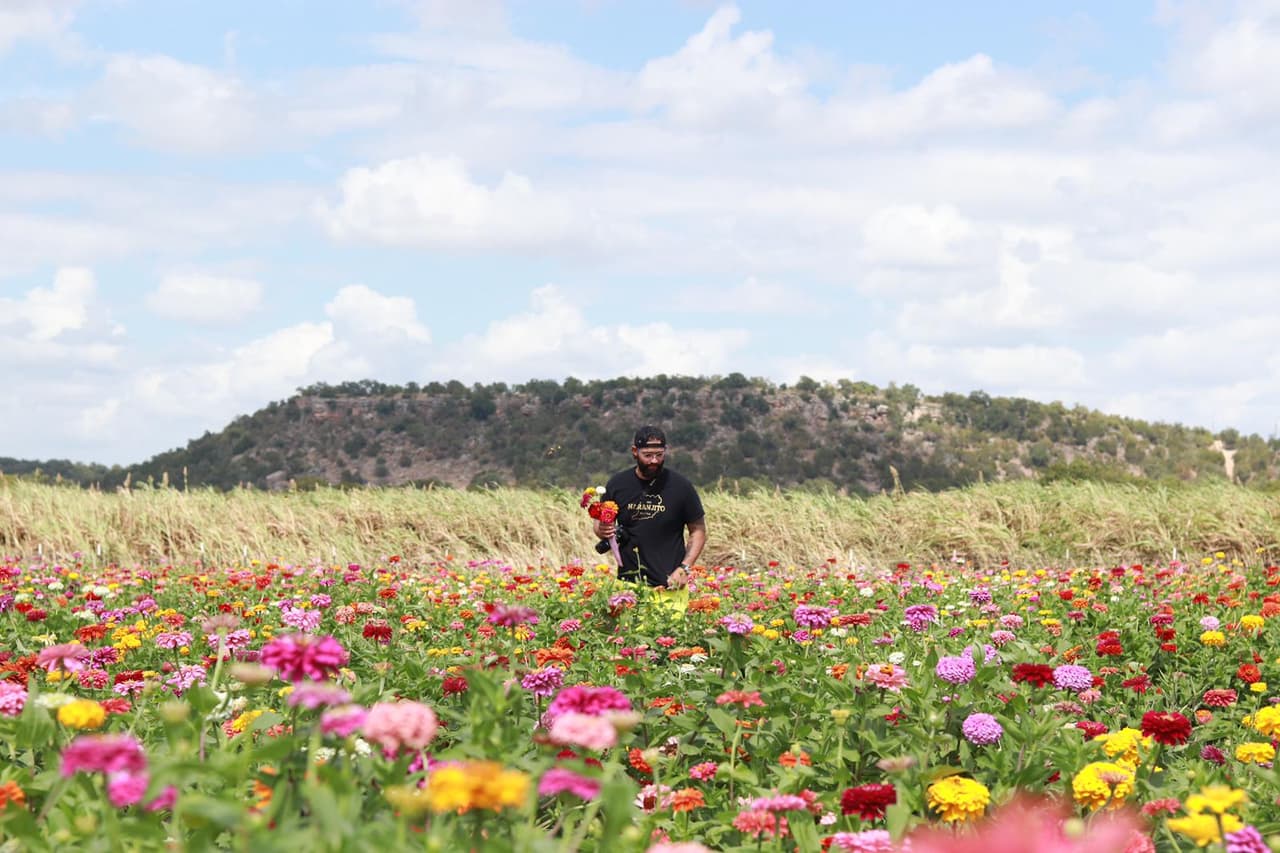 La finca “Sweet Berry Farms” ubicada en Marble Falls anunció que ya reabrió su área de recogido de flores, un poco más temprano de lo usual ya que sus reconocidas zinnias florecieron a todo esplendor.
<br>
<br>