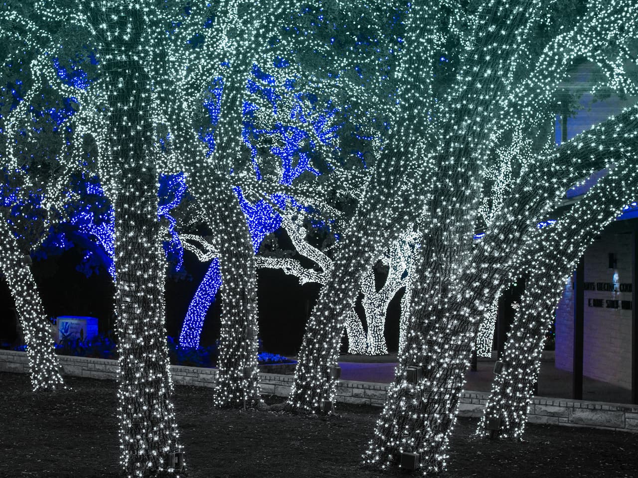 El espectáculo de luces se llevará a cabo en S Avenue F, Johnson City, TX 78636, Estados Unidos.