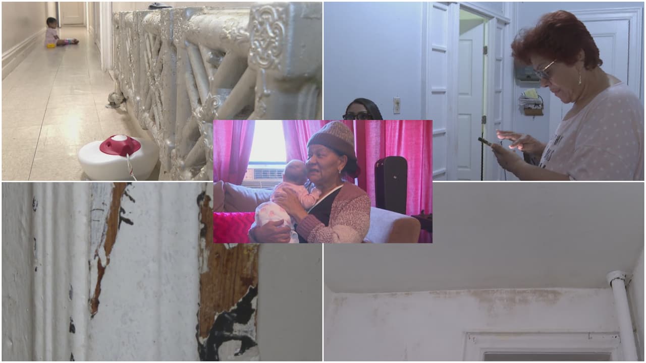 Aunque están cansados de contactar a la empresa que maneja el edificio, los vecinos de un edificio ubicado en el vecindario de Fordham 
<a href="https://www.univision.com/local/nueva-york-wxtv/nueva-york-edificio-bronx-vecinos-denuncian-frio-inseguridad-y-plagas" target="_blank">no cesan las denuncias debido a filtraciones, plagas e inseguridades</a> que viven en sus apartamentos.