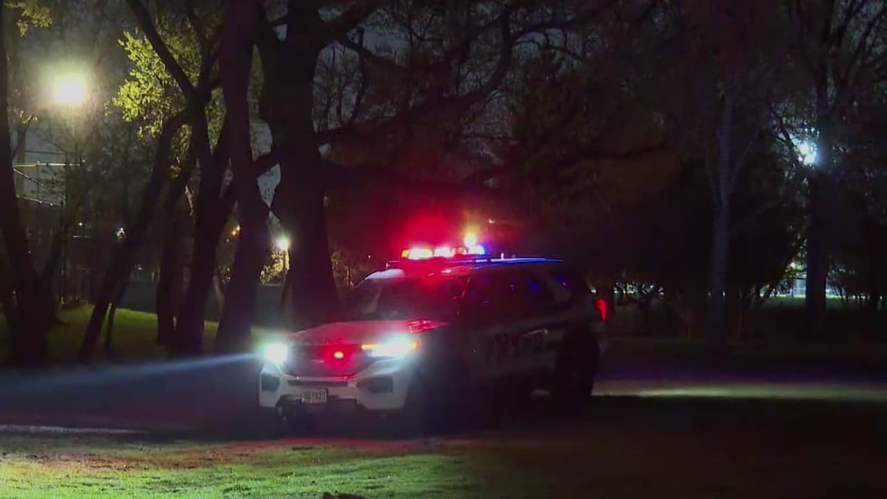 Adolescentes imputados por asesinato tras pelea y tiroteo en parque de Queens