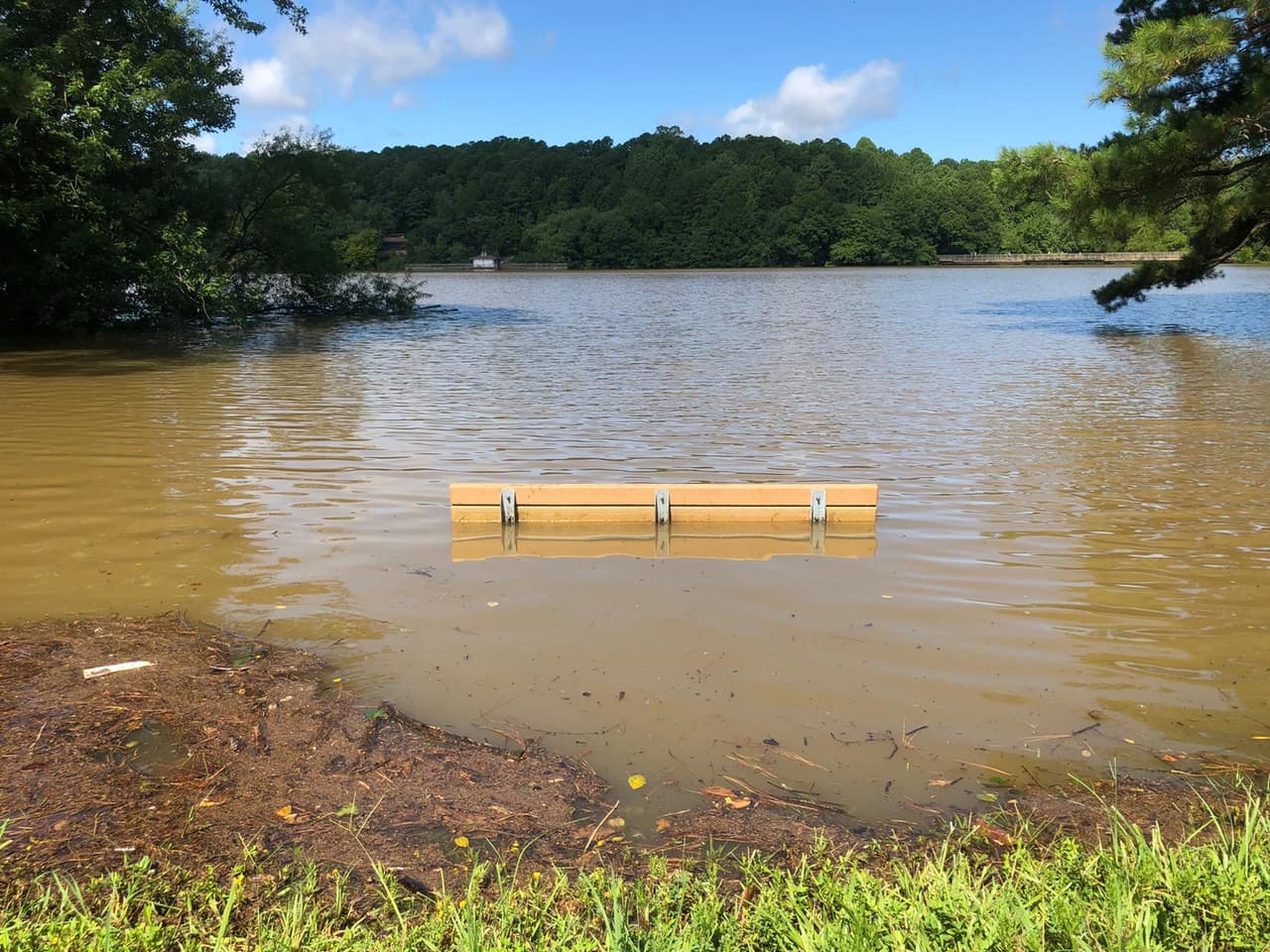 Advierten a los residentes a tomar precauciones ante la posible aparición de serpientes u otras especies tras las inundaciones.