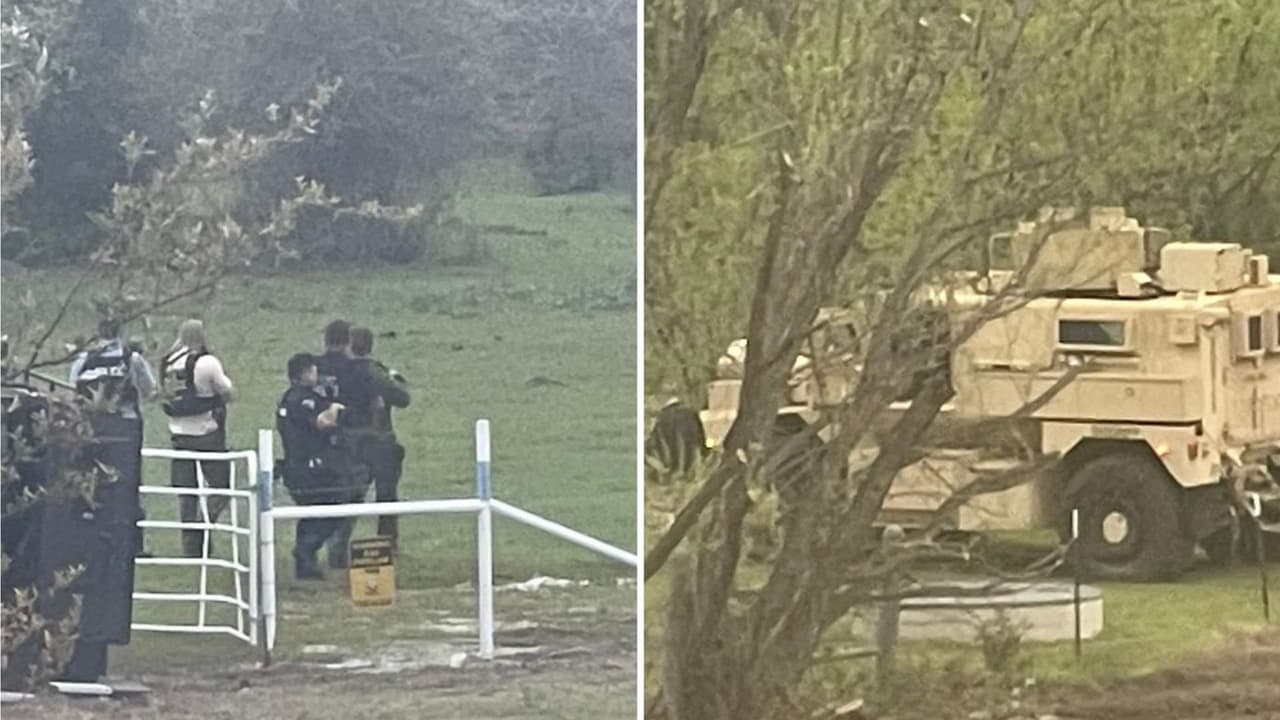 Al despertar esta fue la movilización que vio la familia Santiago cerca del patio de su casa.