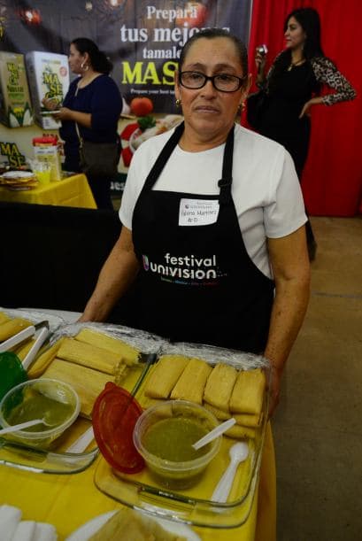 Festival Univision 2014